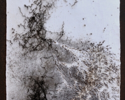 65x35cm 2019 Vague